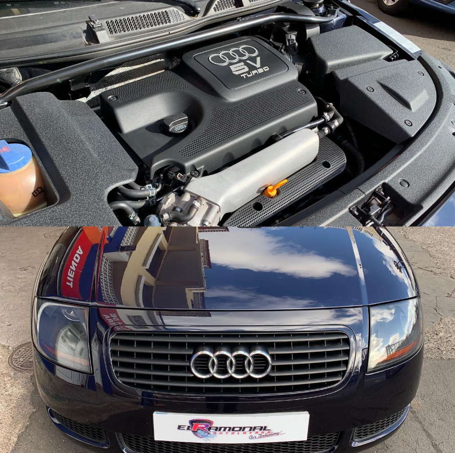 Audi motor detallado Ramonal